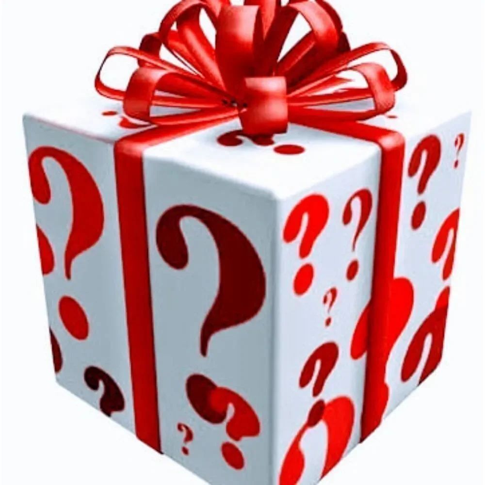 🆕🎉5 ITEM RESELLER MYSTERY BOX